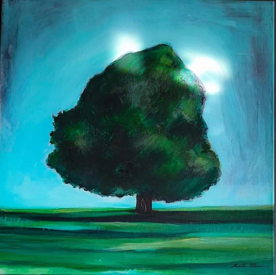 Un arbore verde pe un fundal turcoaz luminos.